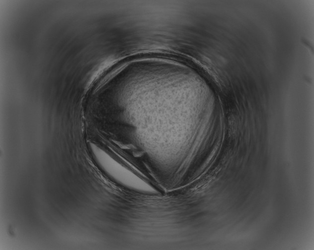 X0000096941363200802291022