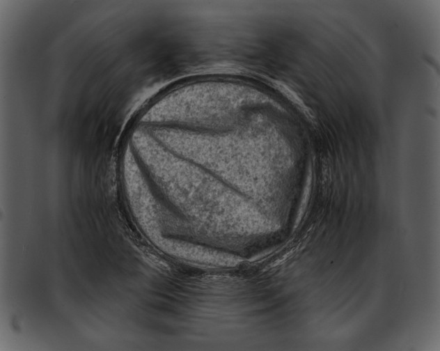 X0000096941364200802291022