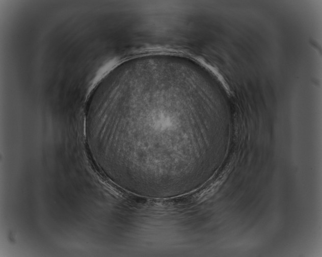 X0000096941365200802291022