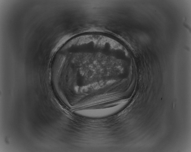 X0000096941367200802291022