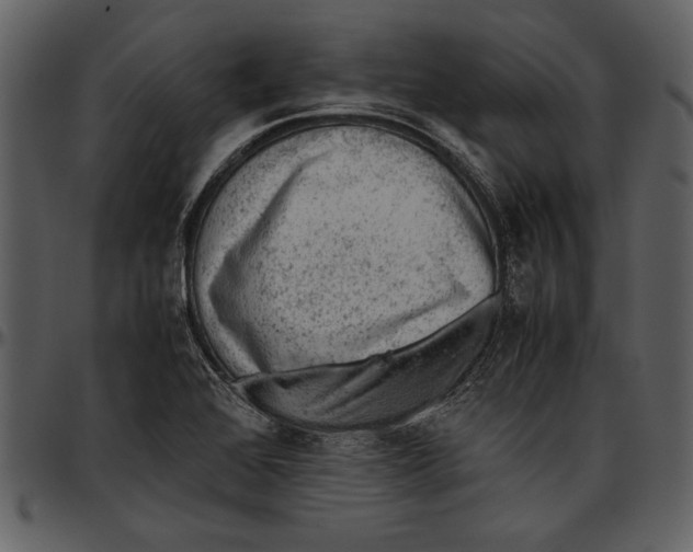 X0000096941368200802291022