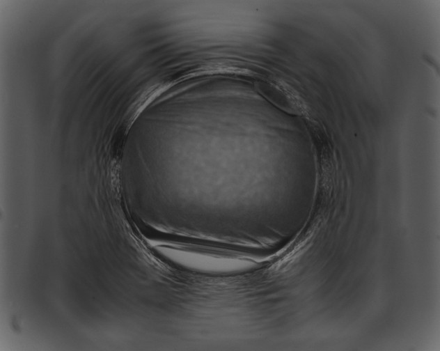 X0000096941369200802291022