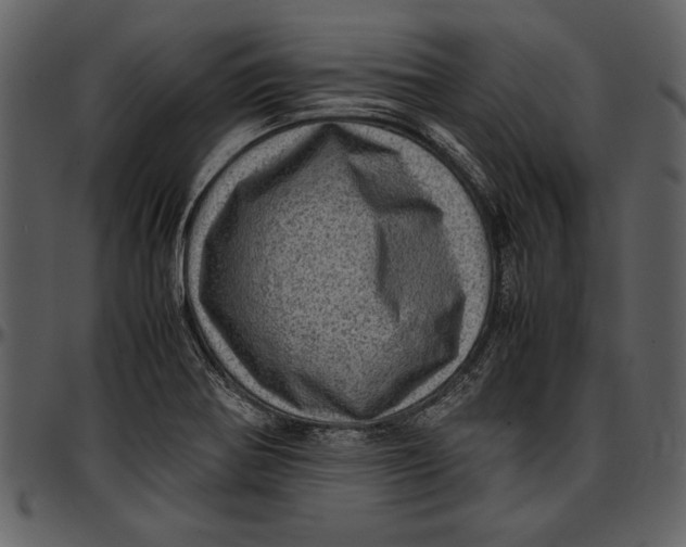 X0000096941370200802291022