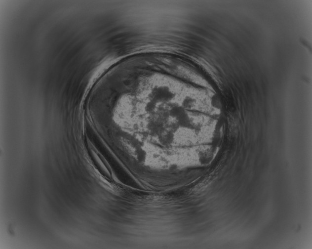 X0000096941371200802291022