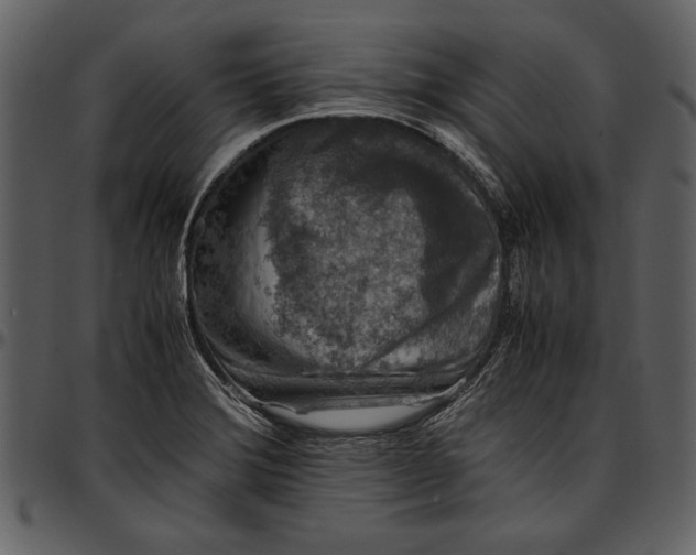 X0000096941372200802291022