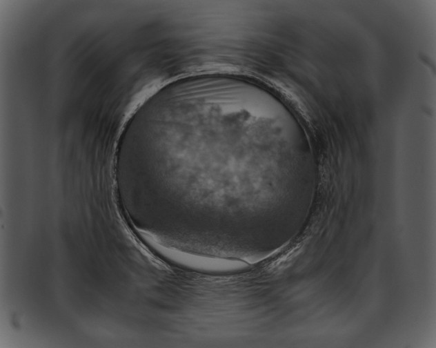 X0000096941373200802291022