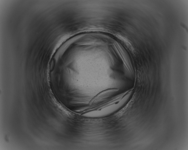 X0000096941374200802291022