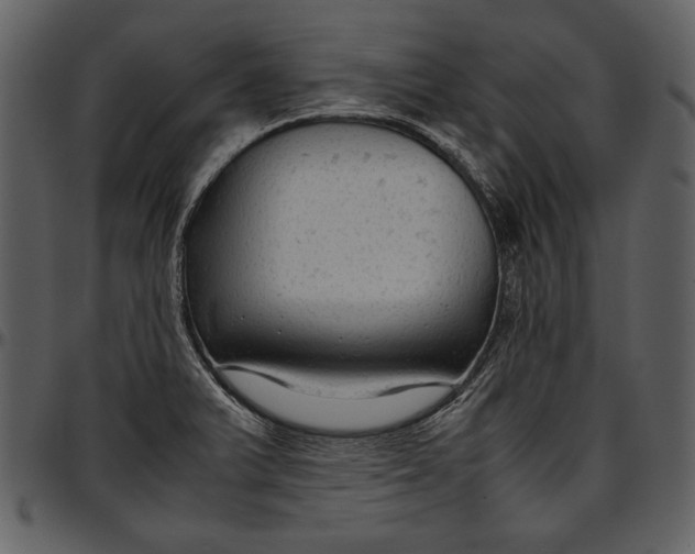 X0000096941375200802291022