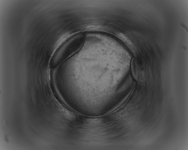 X0000096941376200802291022