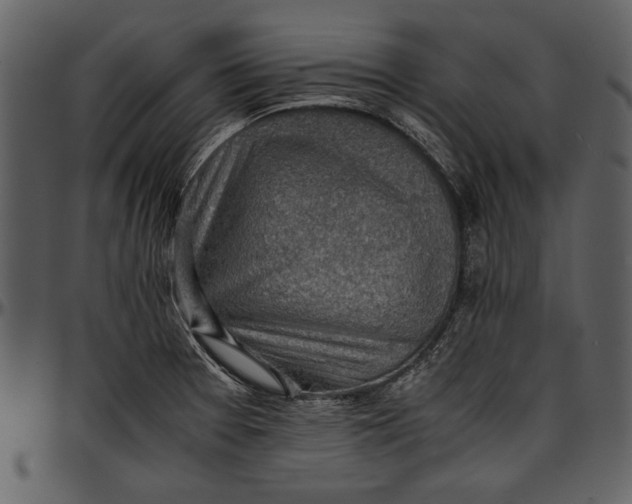 X0000096941377200802291022