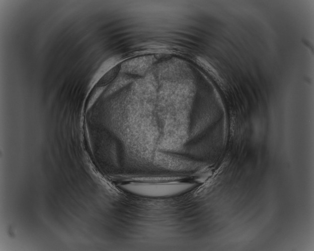 X0000096941378200802291022