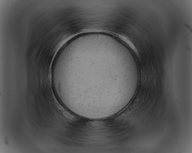 X0000096941380200802291022