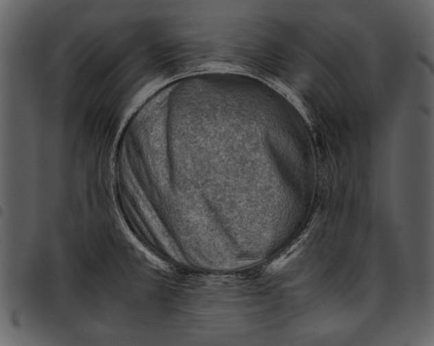 X0000096941381200802291022