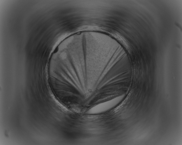 X0000096941382200802291022