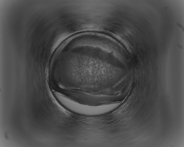 X0000096941383200802291022