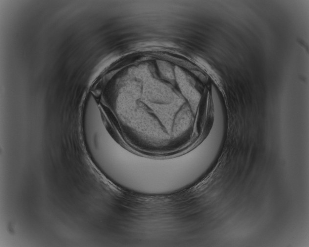 X0000096941384200802291022