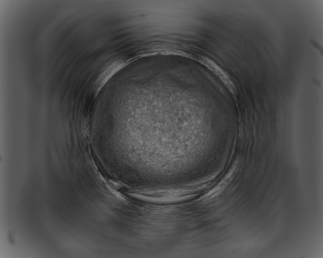 X0000096941385200802291022