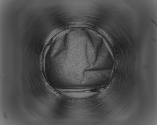 X0000096941386200802291022