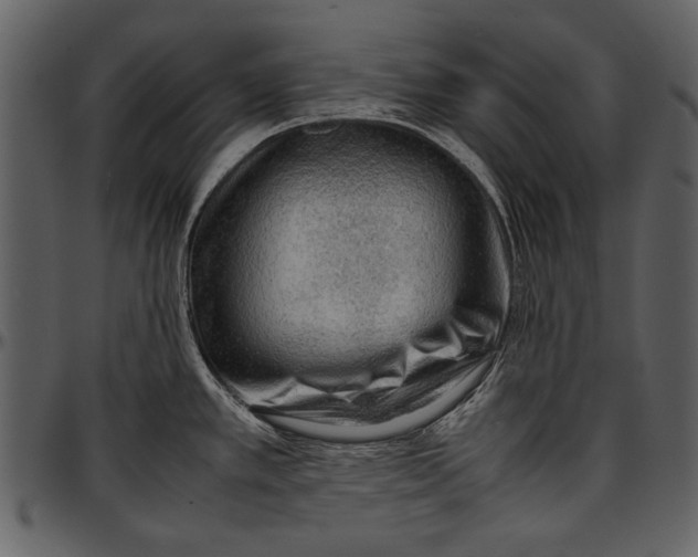 X0000096941389200802291022