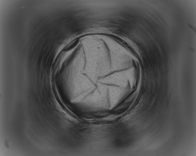 X0000096941390200802291022