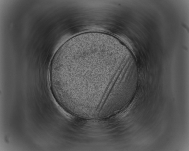 X0000096941391200802291022