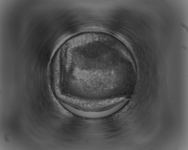 X0000096941392200802291022