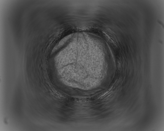 X0000096941393200802291021