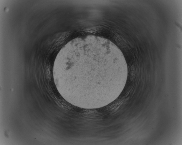 X0000096941394200802291021