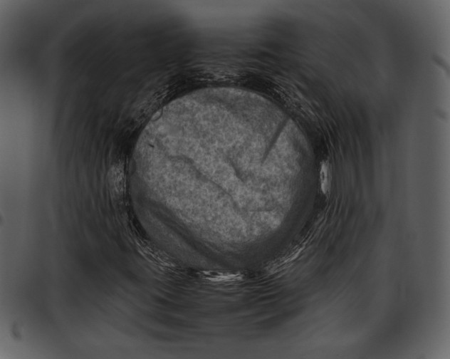 X0000096941395200802291021