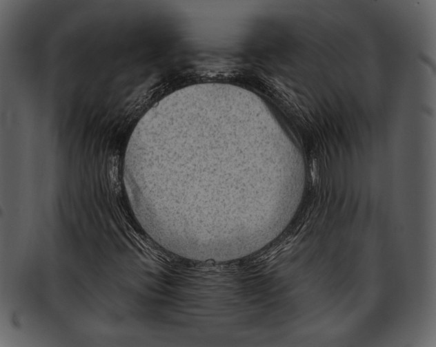 X0000096941396200802291021