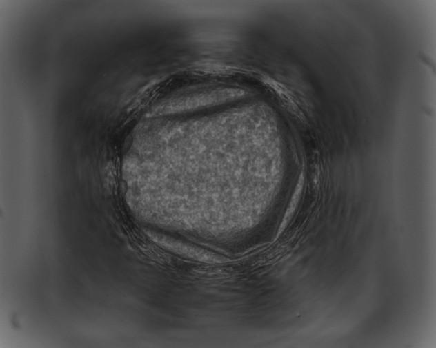 X0000096941397200802291021