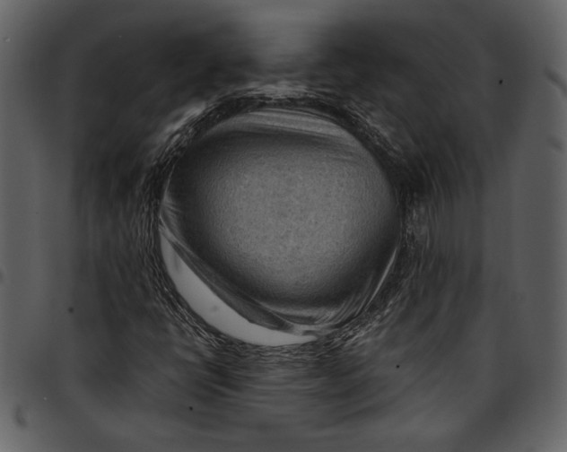 X0000096941398200802291021