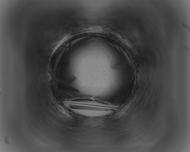 X0000096941400200802291021