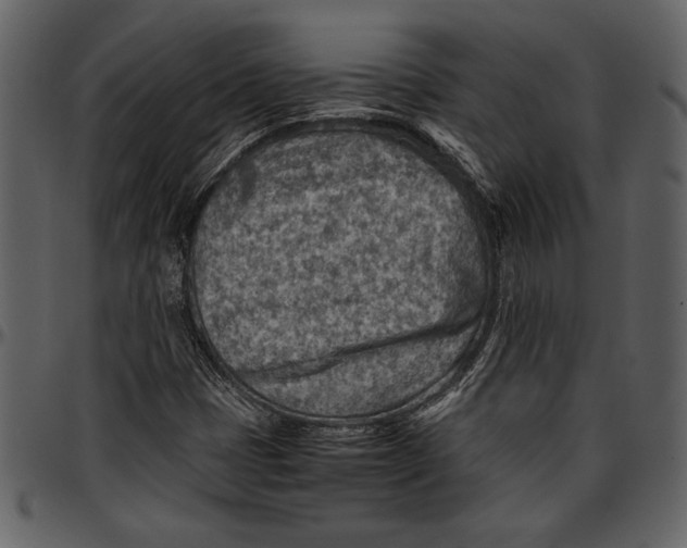 X0000096941401200802291021