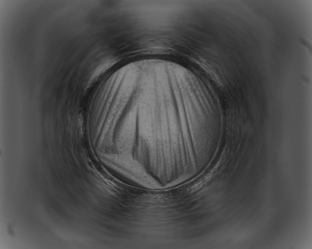 X0000096941402200802291021