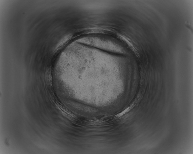 X0000096941403200802291021