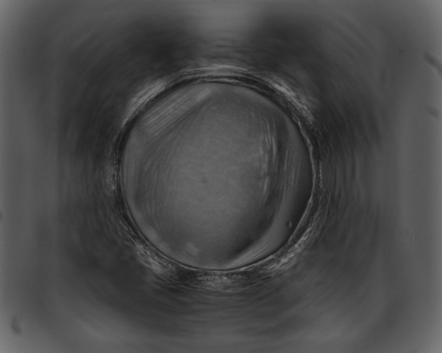 X0000096941405200802291021