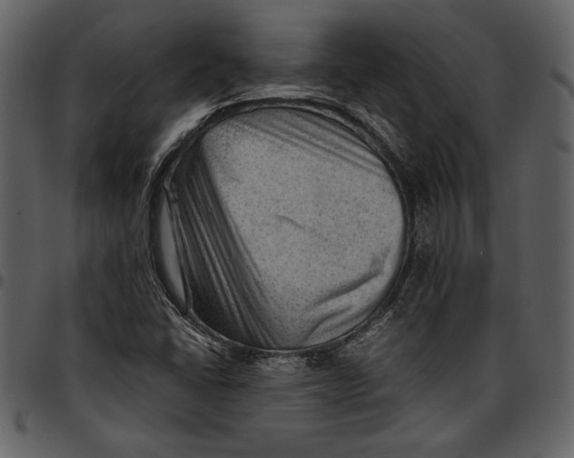 X0000096941406200802291021