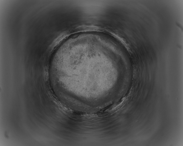 X0000096941407200802291021