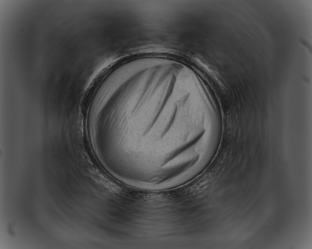 X0000096941408200802291021