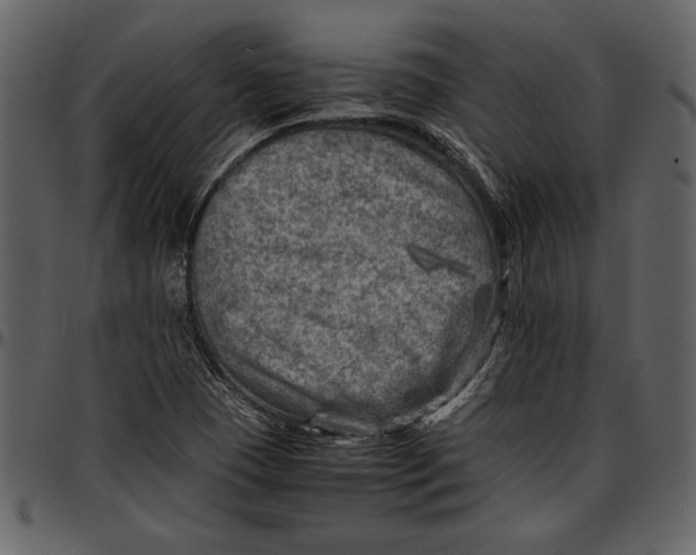 X0000096941409200802291021