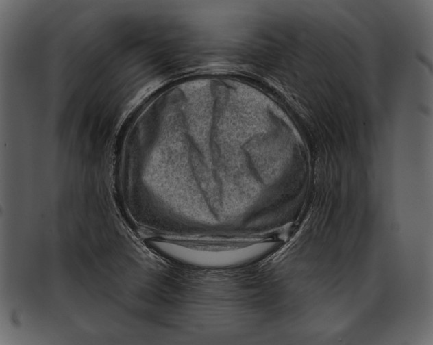 X0000096941410200802291021