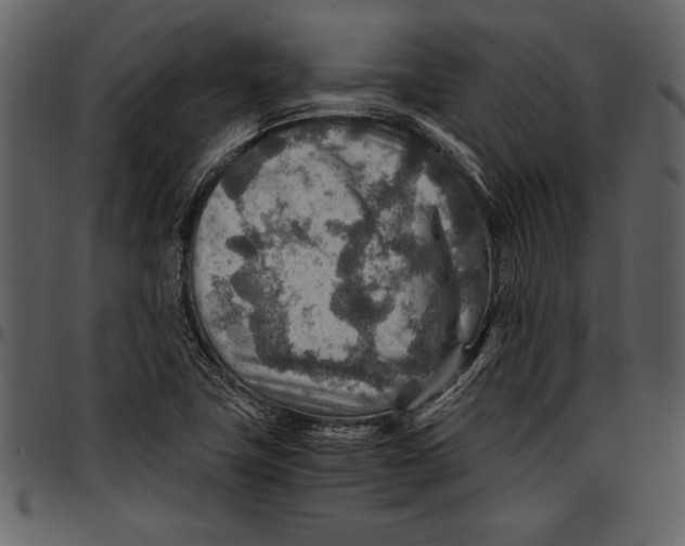 X0000096941411200802291021