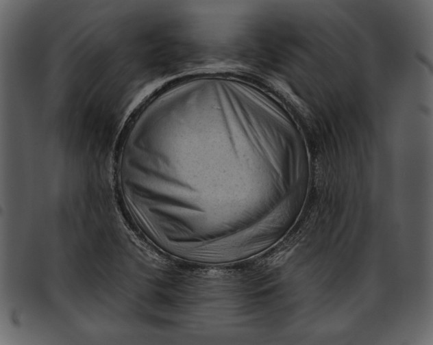 X0000096941412200802291021