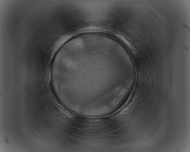 X0000096941413200802291021