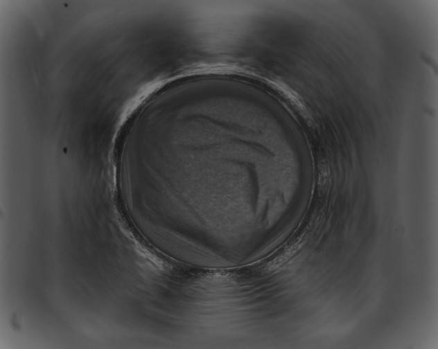 X0000096941414200802291021