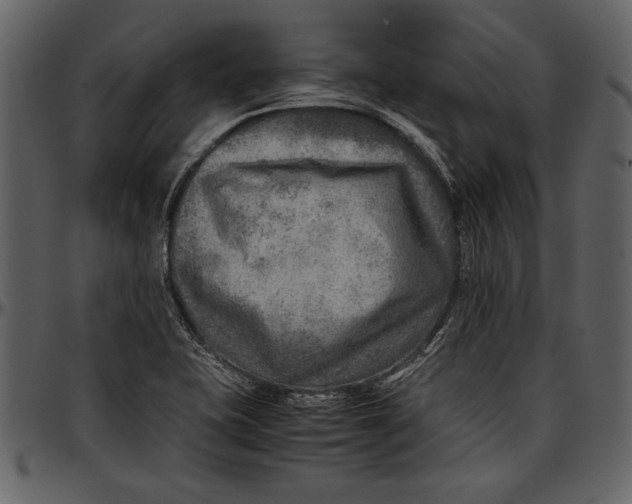 X0000096941415200802291021