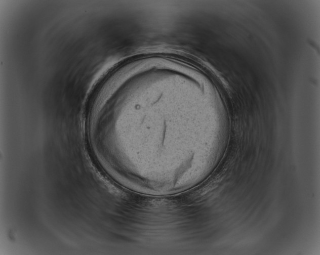 X0000096941416200802291021