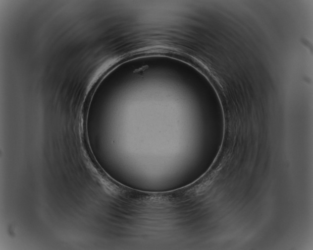 X0000096941418200802291021