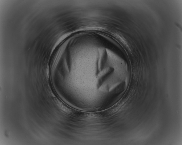 X0000096941420200802291022